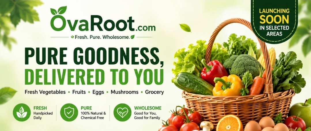 Fresh Vegetable Launching Soon