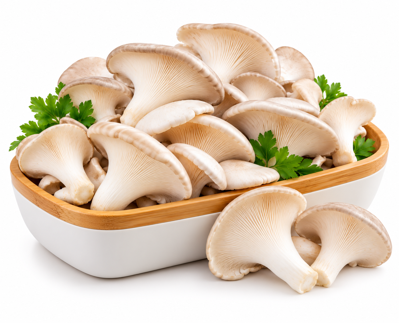 Mushroom